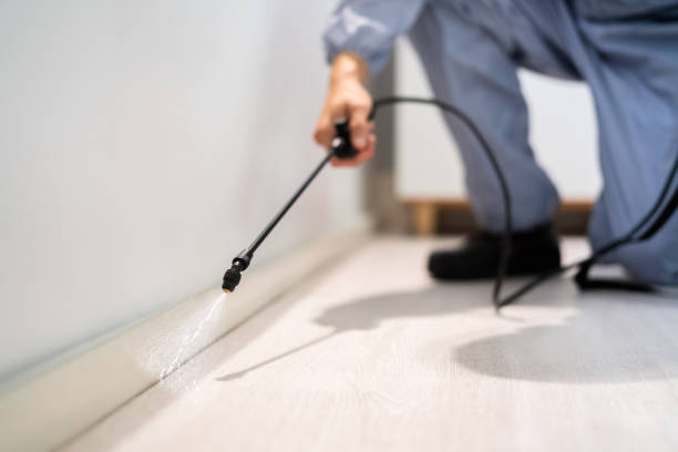 Licensed Mosquito Control service in Central Park, WA - Show Me Pest Control