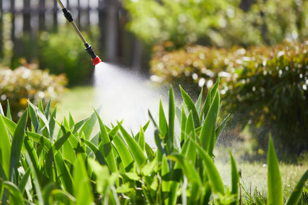 24/7 Emergency Mosquito Control experts in Central Park, WA