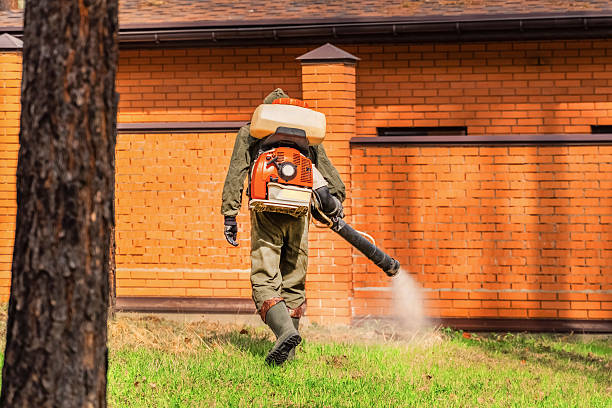 Top rated local Mosquito Control specialists in Central Park, WA